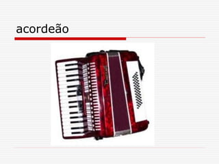 acordeão
 