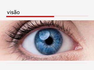 visão
 