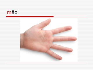 mão
 