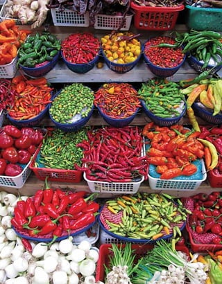 Guía del participante40
 