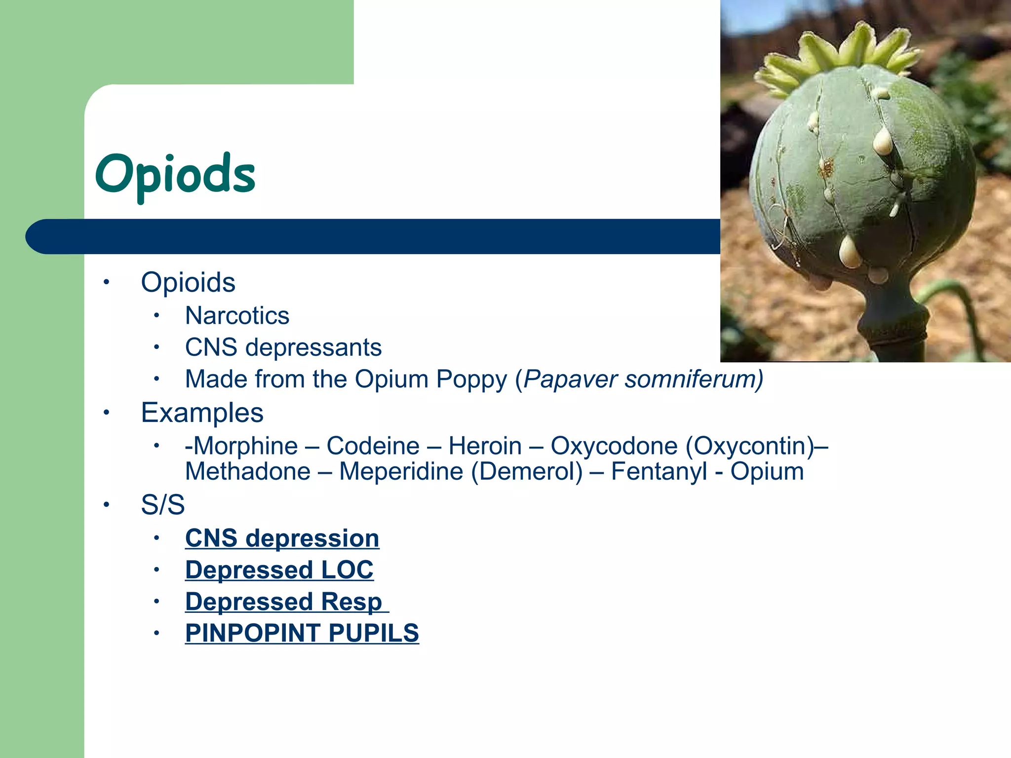 Opiods  Opioids Narcotics CNS depressants Made from the Opium Poppy ( Papaver somniferum)   Examples -Morphine – Codeine – Heroin – Oxycodone (Oxycontin)– Methadone – Meperidine (Demerol) – Fentanyl - Opium  S/S CNS depression Depressed LOC Depressed Resp  PINPOPINT PUPILS   