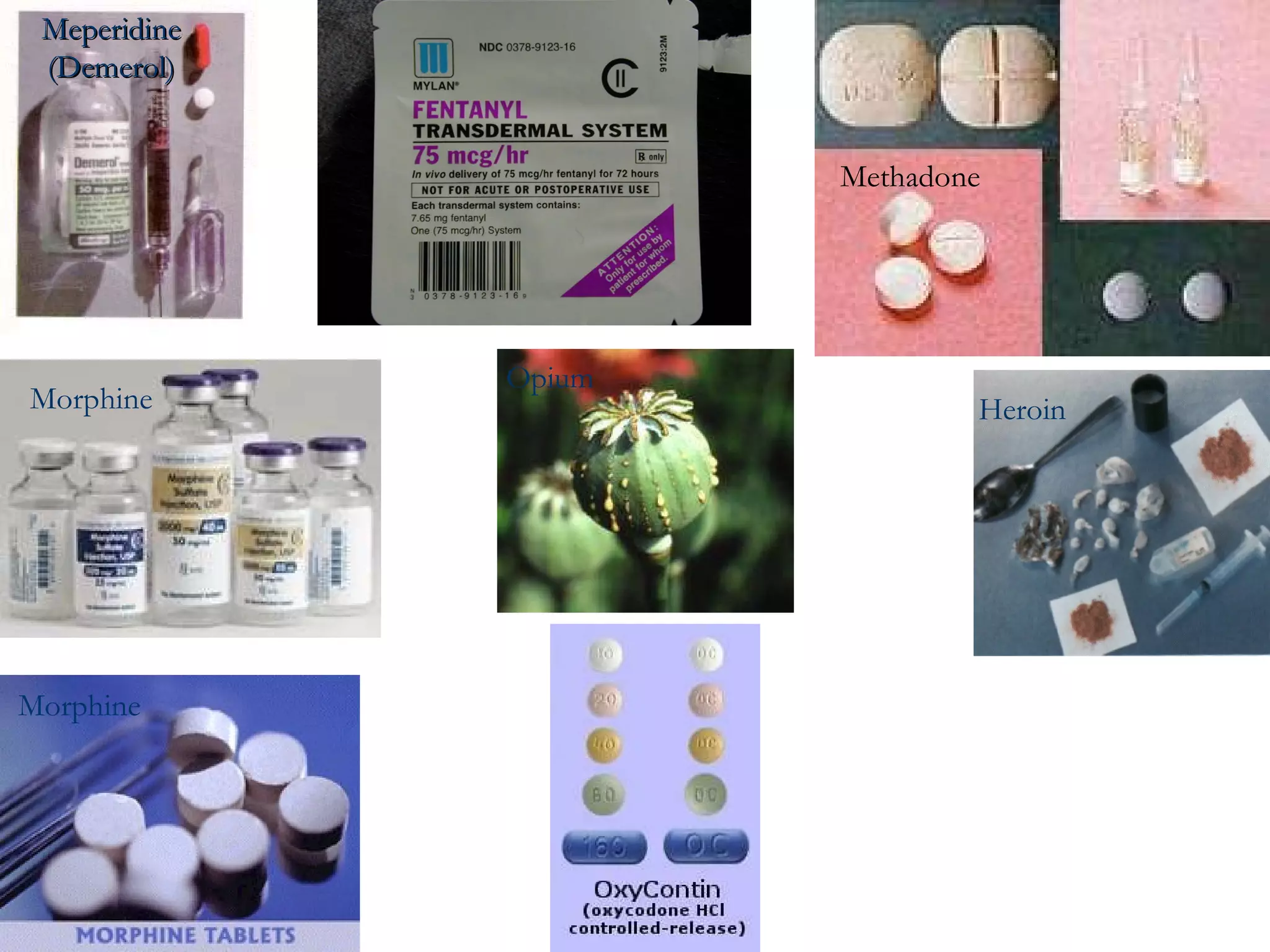 Meperidine (Demerol) Methadone Morphine  Morphine Opium Heroin  