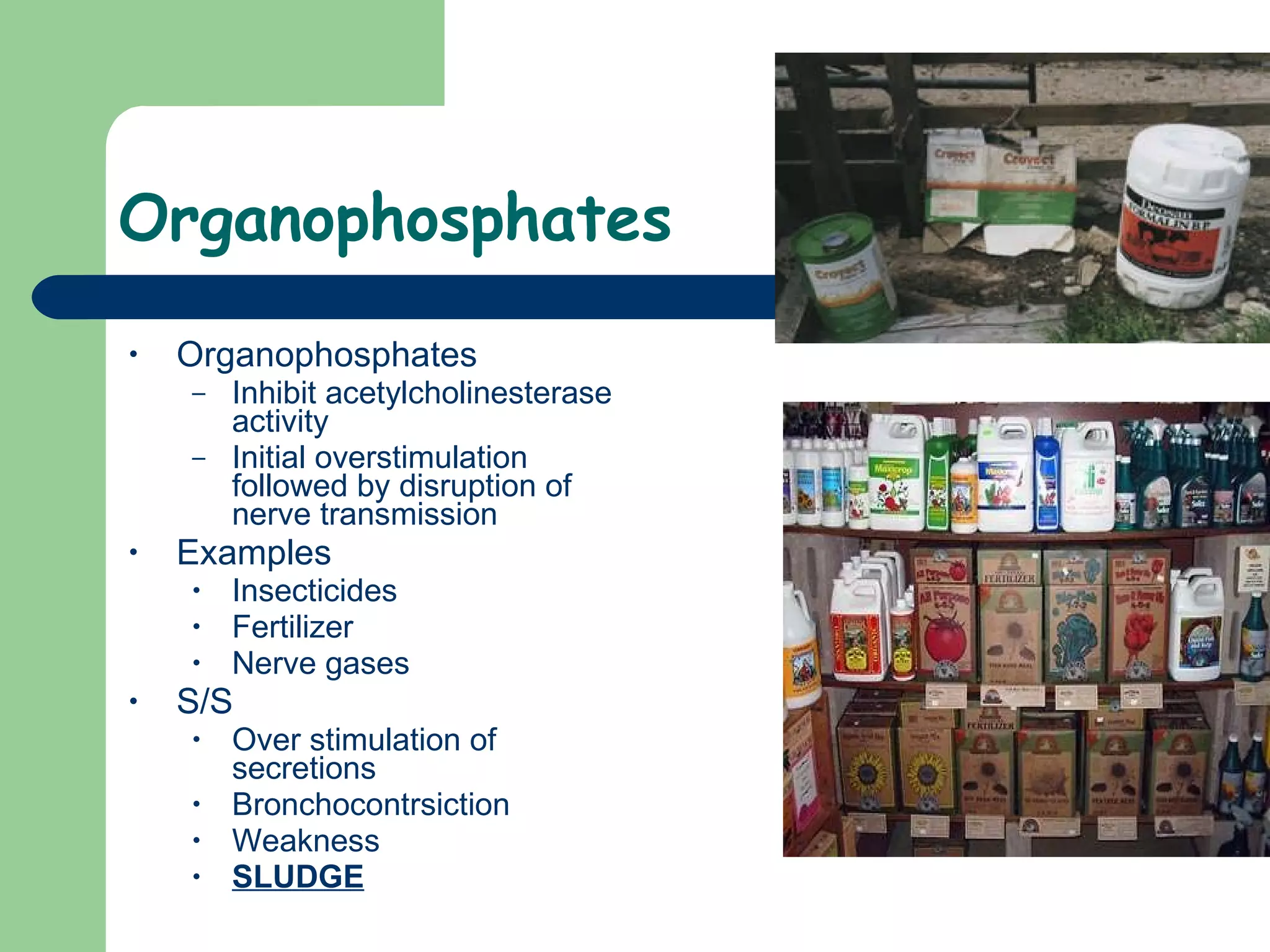 Organophosphates  Organophosphates  Inhibit acetylcholinesterase activity  Initial overstimulation followed by disruption of nerve transmission Examples Insecticides Fertilizer Nerve gases  S/S Over stimulation of secretions Bronchocontrsiction Weakness SLUDGE 