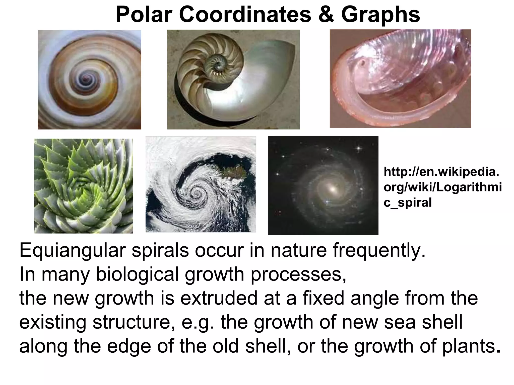 Polar Coordinates & Graphs
Equiangular spirals occur in nature frequently.
In many biological growth processes,
the new growth is extruded at a fixed angle from the
existing structure, e.g. the growth of new sea shell
along the edge of the old shell, or the growth of plants.
http://en.wikipedia.
org/wiki/Logarithmi
c_spiral
 