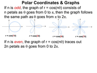 Polar Coordinates & Graphs
r = cos(1) r = cos(3)
If n is odd, the graph of r = cos(n) consists of
n petals as  goes from 0 to π, then the graph follows
the same path as  goes from π to 2π.
If n is even, the graph of r = cos(n) traces out
2n petals as  goes from 0 to 2π.
r = cos(7)
r = cos(5)
 