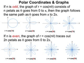 Polar Coordinates & Graphs
r = cos(1) r = cos(3)
If n is odd, the graph of r = cos(n) consists of
n petals as  goes from 0 to π, then the graph follows
the same path as  goes from π to 2π.
r = cos(2) r = cos(4) r = cos(6) r = cos(8)
If n is even, the graph of r = cos(n) traces out
2n petals as  goes from 0 to 2π.
r = cos(7)
r = cos(5)
 