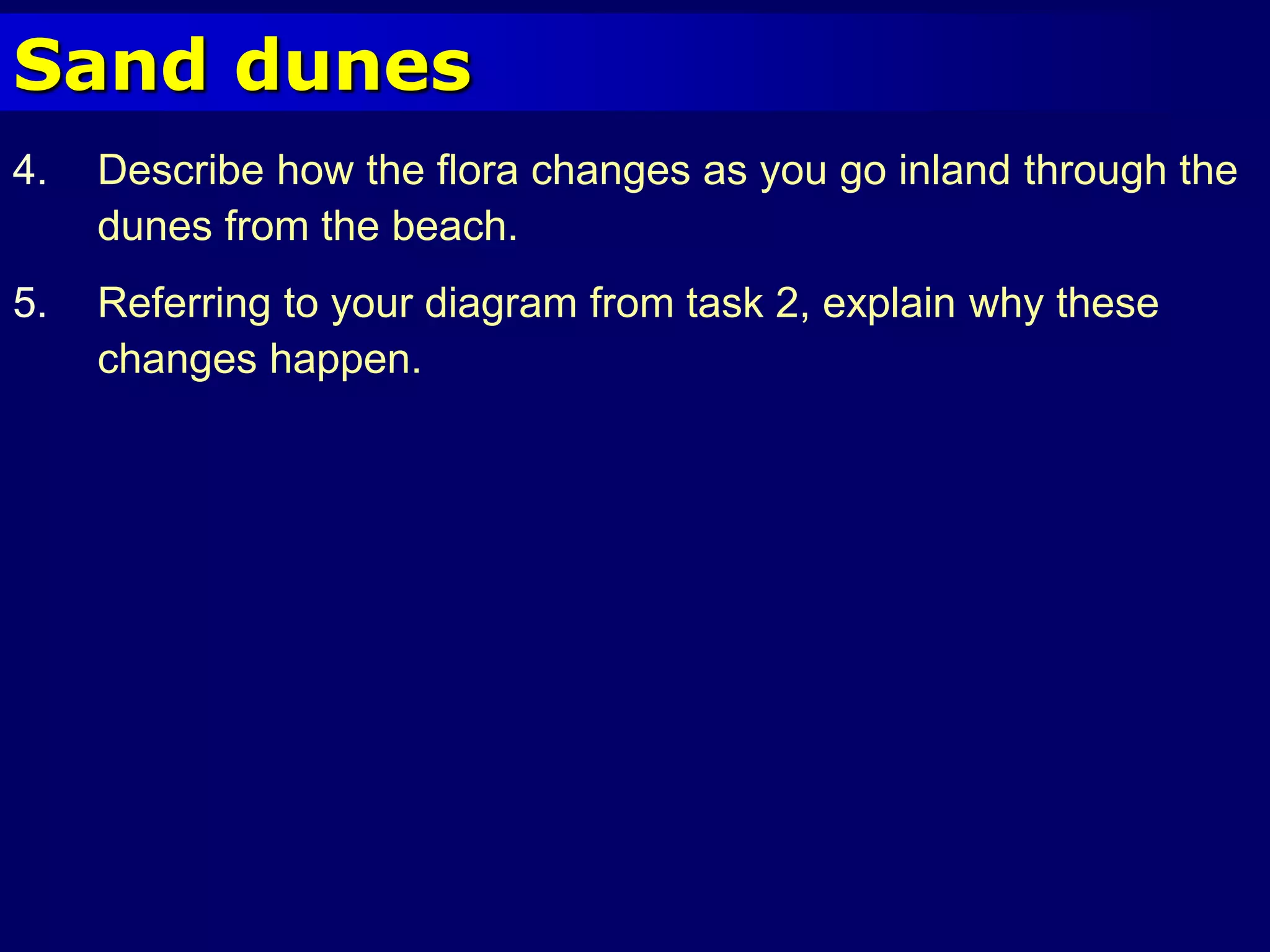 Sand dunes
4. Describe how the flora changes as you go inland through the
dunes from the beach.
5. Referring to your diagram from task 2, explain why these
changes happen.
 