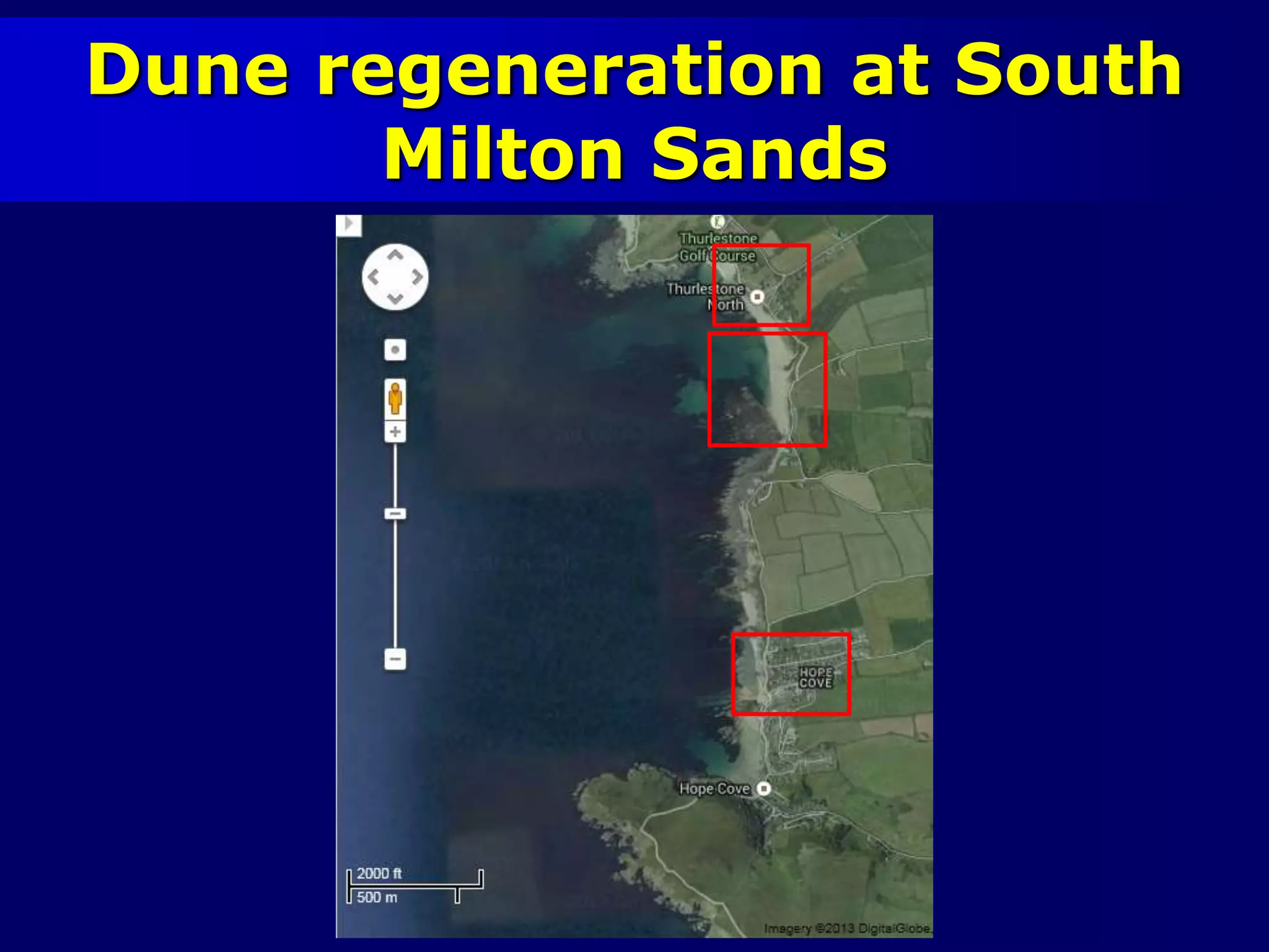 Dune regeneration at South
Milton Sands
 