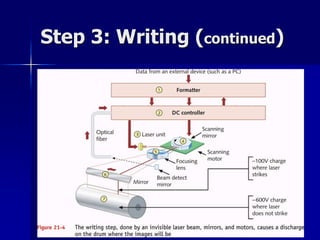 Step 3: Writing (continued) 
 
