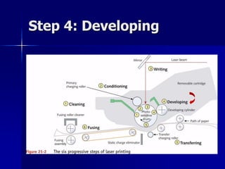 Step 4: Developing 
 