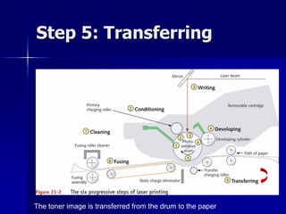 Step 5: Transferring 
The toner image is transferred from the drum to the paper 
 