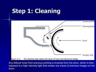 Step 1: Cleaning 
Any leftover toner from previous printing is brushed from the drum, which is then 
exposed to a high intensity light that erases any traces of previous images on the 
drum. 
 