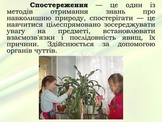 Спостереження — це один із
методів      отримання     знань    про
навколишню природу, спостерігати — це
навчитися цілеспрямовано зосереджувати
увагу    на     предметі, встановлювати
взаємозв'язки і послідовність явищ, їх
причини. Здійснюється за допомогою
органів чуттів.
 