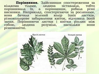 Порівняння. Здійснивши спостереження за
кількома    тілами,    людина     зіставляла,   тобто
порівнювала їх, а порівнявши, робила різні
висновки. Наприклад, спостерігаючи за рослинами,
вона    бачила    зелений    колір    їхніх   листків,
різнокольорове забарвлення квіток, відчувала їхній
запах. Порівнюючи листки і квітки рослин між
собою,    людина      розуміла,    наскільки     вони
різноманітні.
 