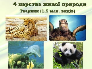 4 царства живої природи
  Тварини (1,5 млн. видів)
 
