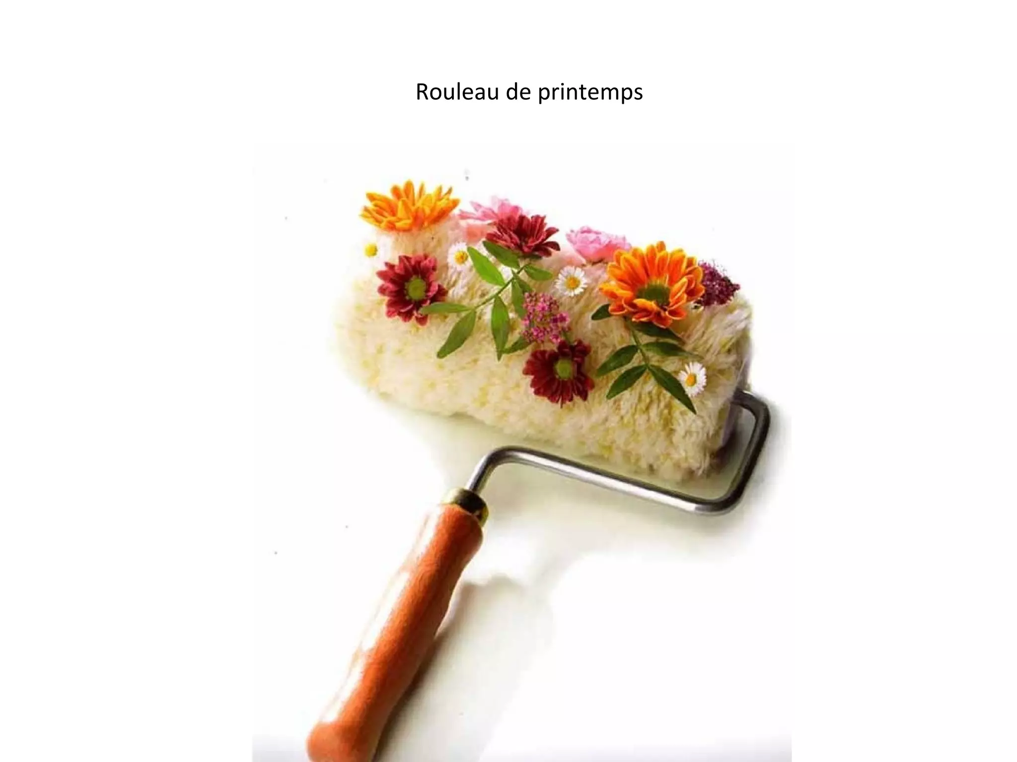 Rouleau de printemps