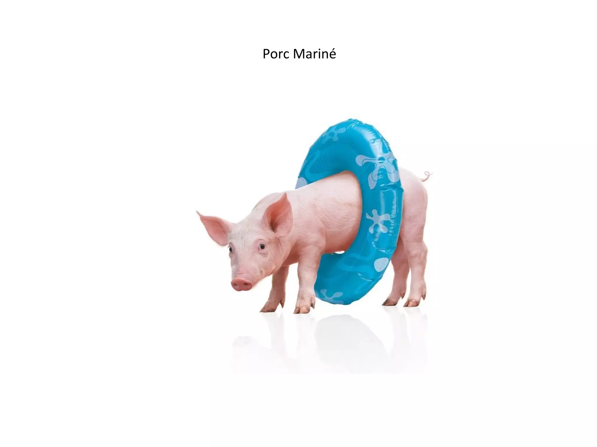 Porc Mariné