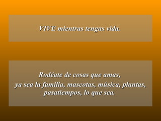 VIVE mientras tengas vida.  Rodéate de cosas que amas,  ya sea la familia, mascotas, música, plantas, pasatiempos, lo que sea.  