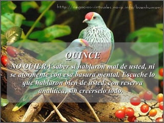 QUINCE NO QUIERA saber si hablaron mal de usted, ni se atormente con esa basura mental. Escuche lo que hablaron bien de usted, con reserva analítica, sin creérselo todo.  