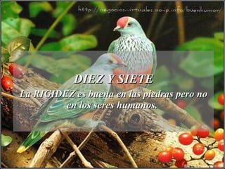 DIEZ Y SIETE La RIGIDEZ es buena en las piedras pero no en los seres humanos.  