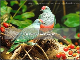 Tu casa es tu refugio.  