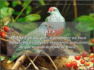 TRES PLANEE su día, pero deje siempre un buen espacio para cualquier imprevisto, consciente de que no todo depende de usted.  