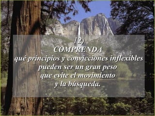 12) COMPRENDA  qué principios y convicciones inflexibles  pueden ser un gran peso  que evite el movimiento  y la búsqueda.  