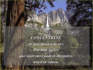 4) CONCÉNTRESE  en una tarea a la vez.  Por mas ágiles  que sean sus cuadros mentales,  usted se cansa.  
