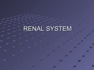 RENAL SYSTEM




               1
 