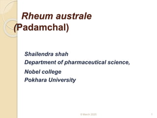 Rheum australe
(Padamchal)
Shailendra shah
Department of pharmaceutical science,
Nobel college
Pokhara University
8 March 2020 1
 