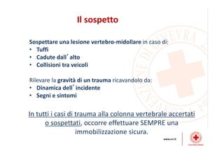 Dinamiche lesive del collo
 