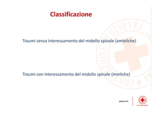 Dinamiche lesive del collo
 