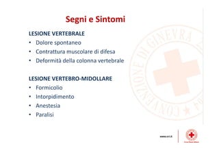 Dinamiche lesive del collo
 