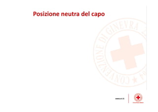 Dinamiche lesive del collo
 