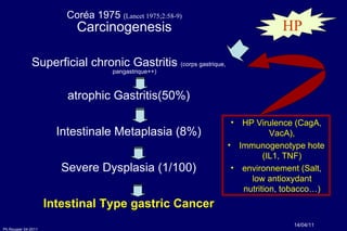 Coréa 1975  ( Lancet 1975;2:58-9) Carcinogenesis Superficial chronic Gastritis  (corps gastrique, pangastrique++) atrophic Gastritis(50%) Intestinale Metaplasia (8%) Severe Dysplasia (1/100) Intestinal Type gastric Cancer 14/04/11 HP HP Virulence (CagA, VacA), Immunogenotype hote (IL1, TNF) environnement (Salt, low antioxydant nutrition, tobacco…) 