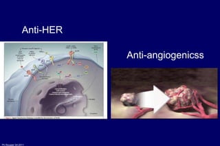 Anti-HER Anti-angiogenicss 