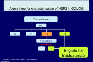 Algorythme for characterisation of HER2 in GC/JOG 0 FISH/SISH* + – Eligible for trastuzumab +1 +3 IHC Tumoral tissue +2 *cut off for FISH, SISH = HER2:CEP17 ratio ≥2 