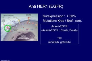 Anti HER1 (EGFR) Acanti-EGFR (Acanti-EGFR : Cmab, Pmab) TKI (erlotinib, gefitinib) Surexpression :  > 50% Mutations Kras / Braf : rare. 