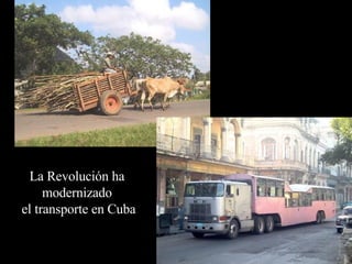 La Revolución ha  modernizado  el transporte en Cuba 