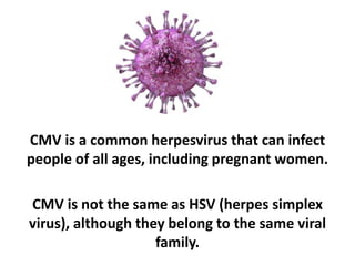 CMV is a common herpesvirus that can infect
people of all ages, including pregnant women.
CMV is not the same as HSV (herpes simplex
virus), although they belong to the same viral
family.
 