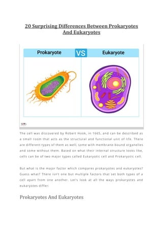 Prokaryotes Vs Eukaryotes: Definations, Structures,, 49% OFF