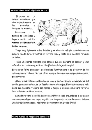 Lee con atención el siguiente texto :
El puma es un
animal carnívoro que
vive especialmente en
las montañas o
bosques de América.
Pertenece a la
familia de los félidos y
llega a medir casi dos
metros de longitud sin
incluir su cola.
Trepa muy ágilmente a los árboles y en ellos se refugia cuando se ve en
peligro. Puede saltar 9 metros en terreno llano y hasta 12 m desde la rama de
un árbol.
Tiene un cuerpo flexible que parece que se alargara al correr, y sus
músculos se contraen y estiran dibujándose debajo de su piel.
Este es un felino silencioso, se desplaza furtivamente y es el terror de los
animales como cabras, ciervos, alces ,aunque también son sus presas ratones,
peces y aves.
Ataca a sus víctimas saltando a su lomo y destrozándole las vértebras del
cuello, para darse después un festín con sus despojos. En ocasiones mata más
de lo que necesita y cubre con ramas y tierra lo que no come para volver a
buscarlo cuando tiene hambre.
La hembra tiene de dos a cuatro cachorritos cada año. Debido a los daños
que ocasiona al ganado, es perseguido por los granjeros y se ha convertido en
una especie amenazada, habitando actualmente en zonas áridas.
Ahora marca la respuesta correcta:
 
