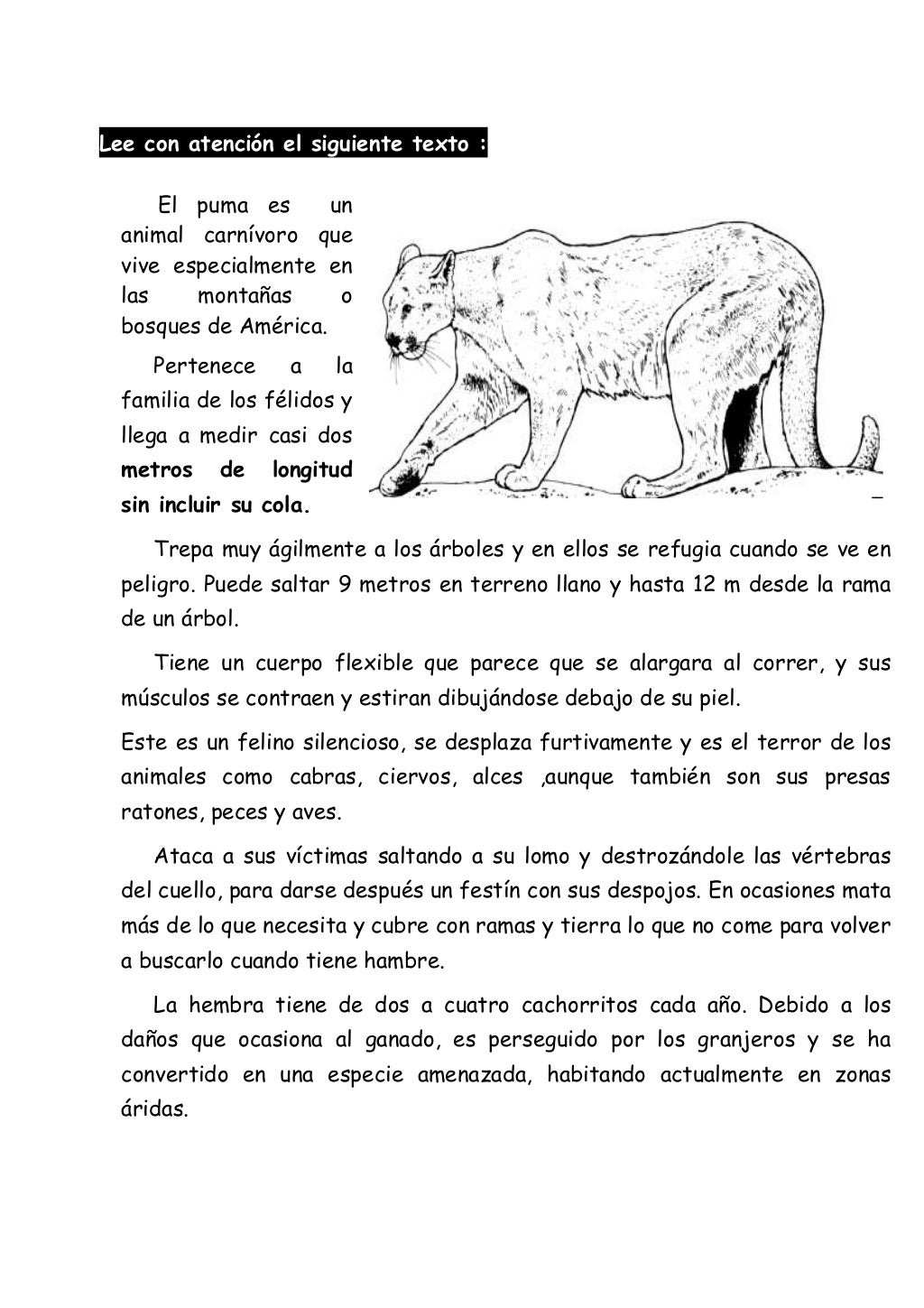 20 textos 1o y 2o grado 20 textos 1o y 2o grado