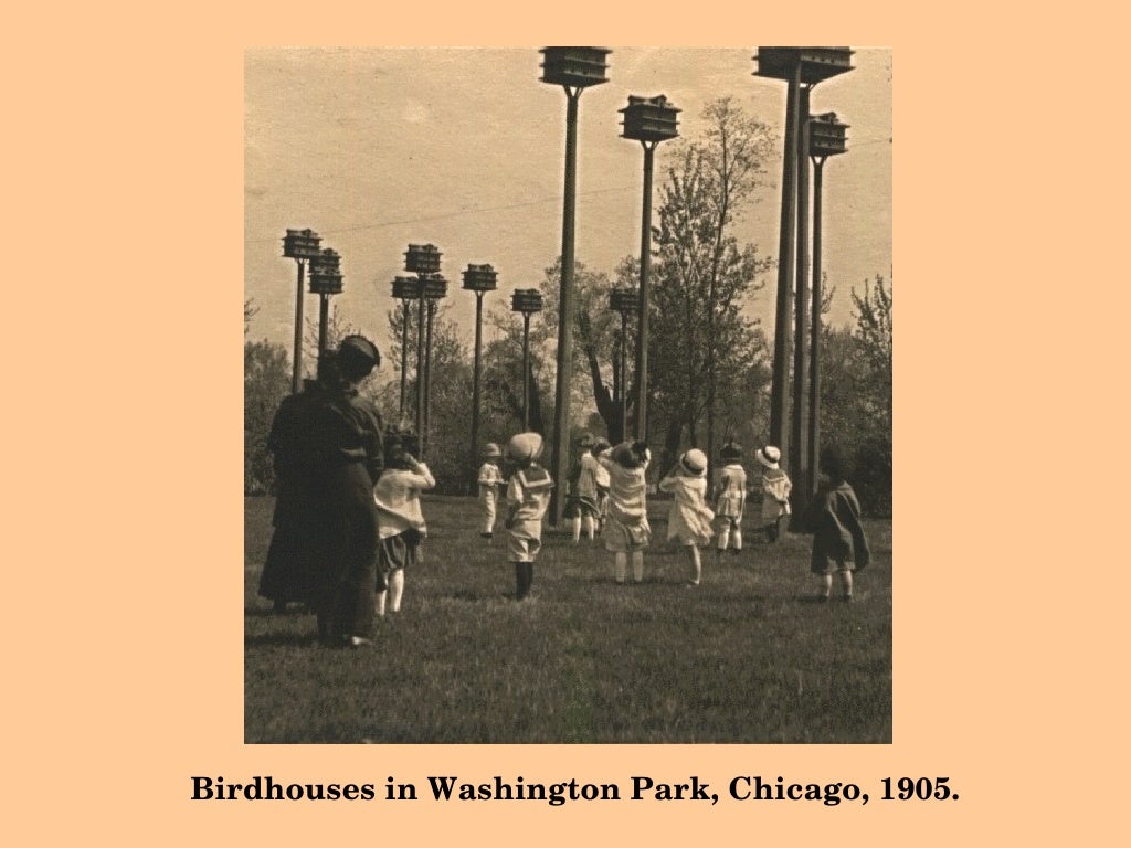 20th Century Education