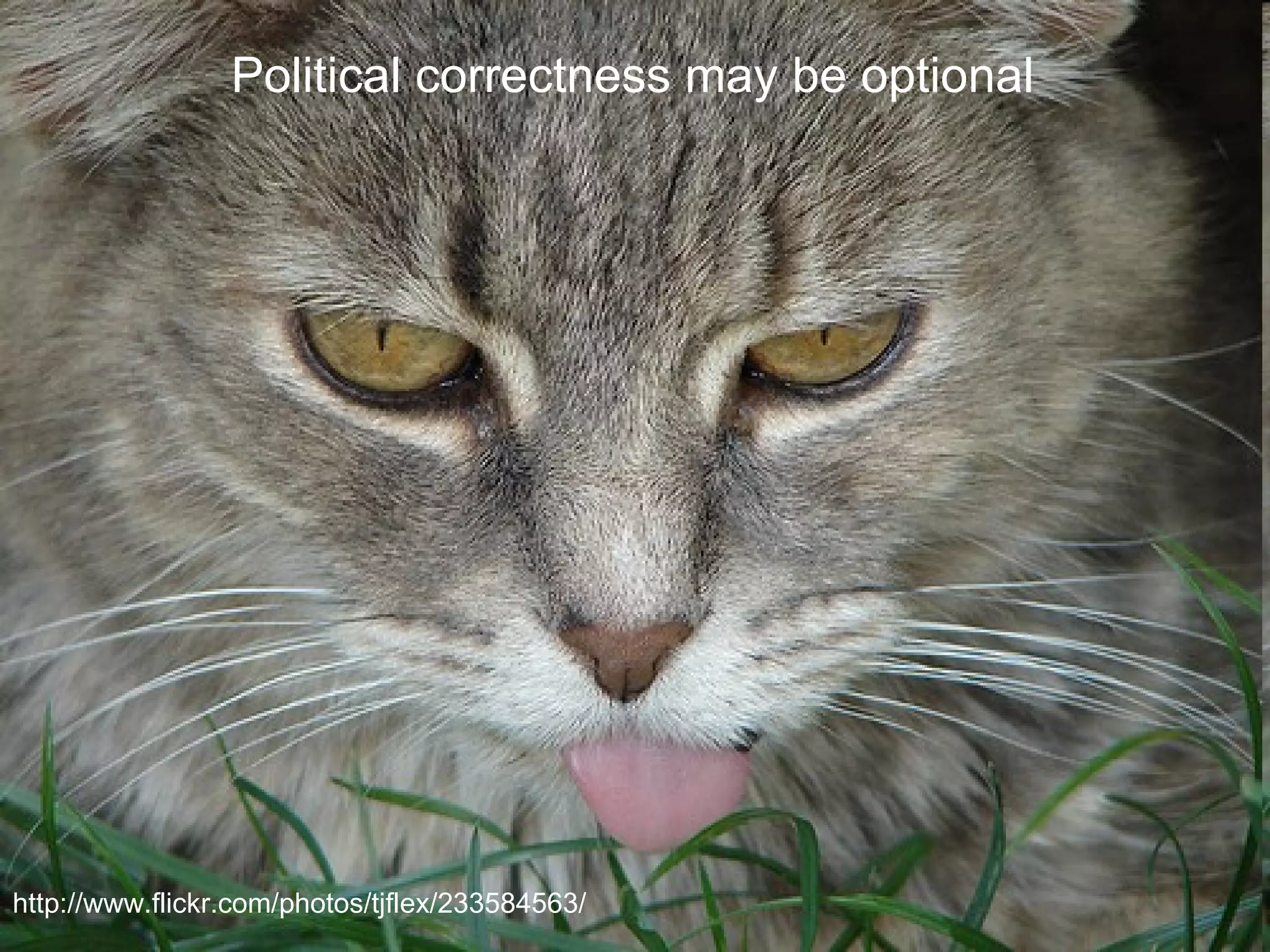 http://www.flickr.com/photos/tjflex/233584563/ Political correctness may be optional 