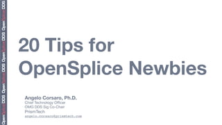 20 Tips for
OpenSplice Newbies
Angelo Corsaro, Ph.D.
Chief Technology Ofﬁcer
OMG DDS Sig Co-Chair
PrismTech
angelo.corsaro@prismtech.com
 