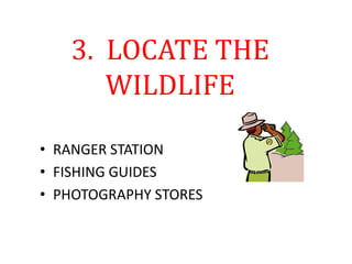 3. LOCATE THE
WILDLIFE
• RANGER STATION
• FISHING GUIDES
• PHOTOGRAPHY STORES
 