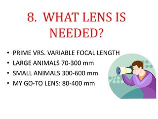 8. WHAT LENS IS
NEEDED?
• PRIME VRS. VARIABLE FOCAL LENGTH
• LARGE ANIMALS 70-300 mm
• SMALL ANIMALS 300-600 mm
• MY GO-TO LENS: 80-400 mm
 