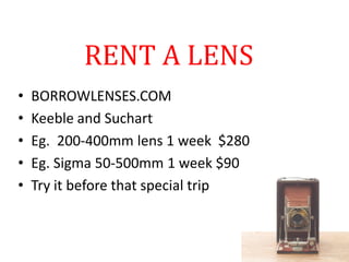 RENT A LENS
• BORROWLENSES.COM
• Keeble and Suchart
• Eg. 200-400mm lens 1 week $280
• Eg. Sigma 50-500mm 1 week $90
• Try it before that special trip
 