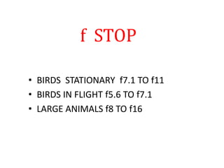 f STOP
• BIRDS STATIONARY f7.1 TO f11
• BIRDS IN FLIGHT f5.6 TO f7.1
• LARGE ANIMALS f8 TO f16
 